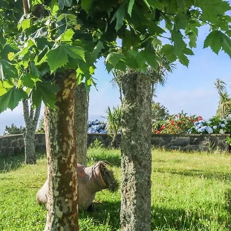 Blue Oceanview Relaxing Mosteiros (Azores)